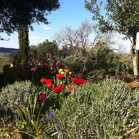 Podere Cerreto