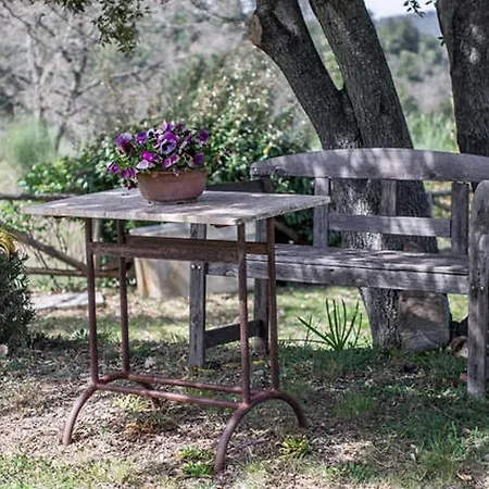 Holiday home Podere Cerreto