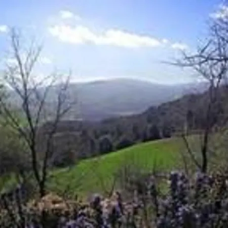 Podere Cerreto